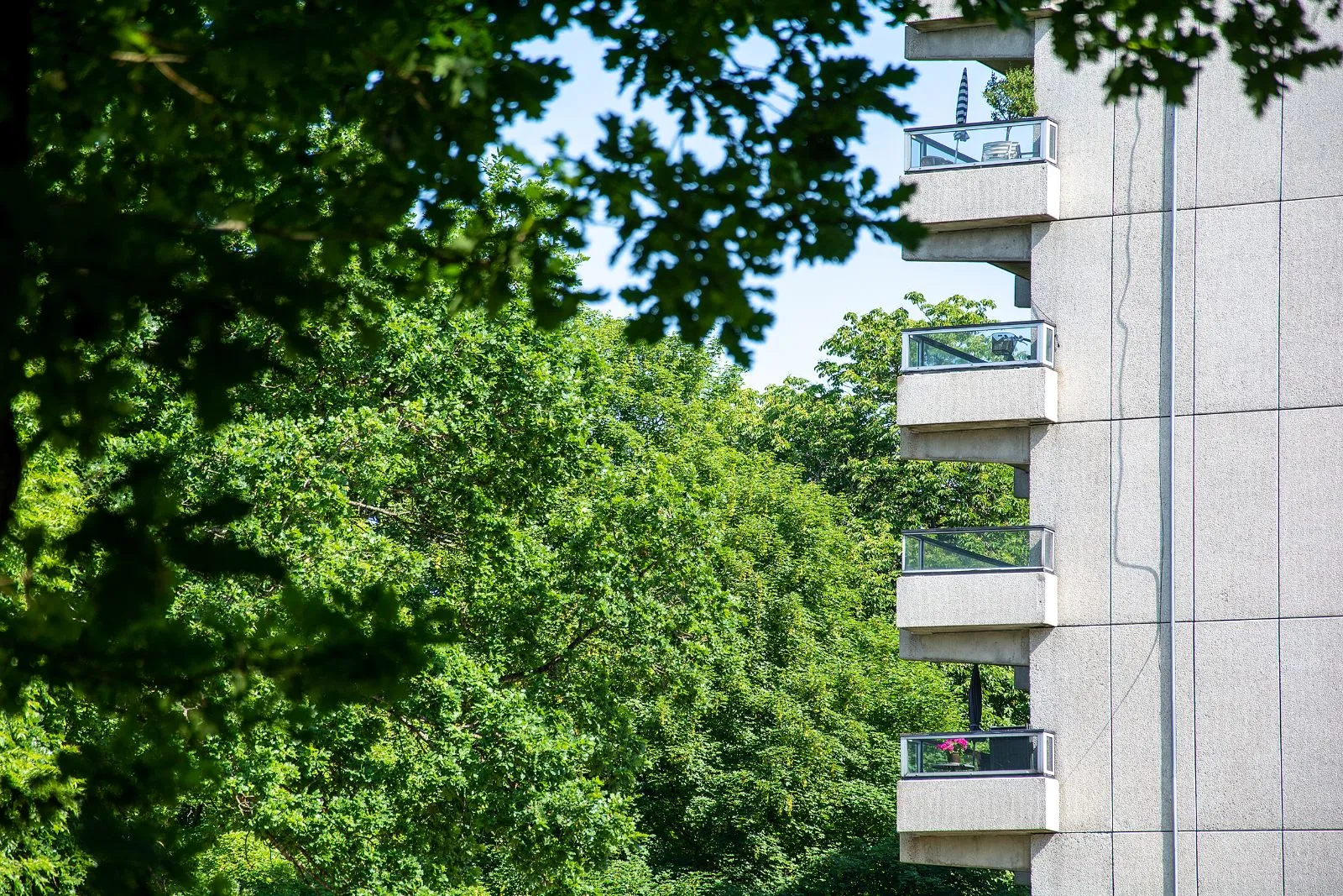 Parken ved siden af Herregårdsparken Herning