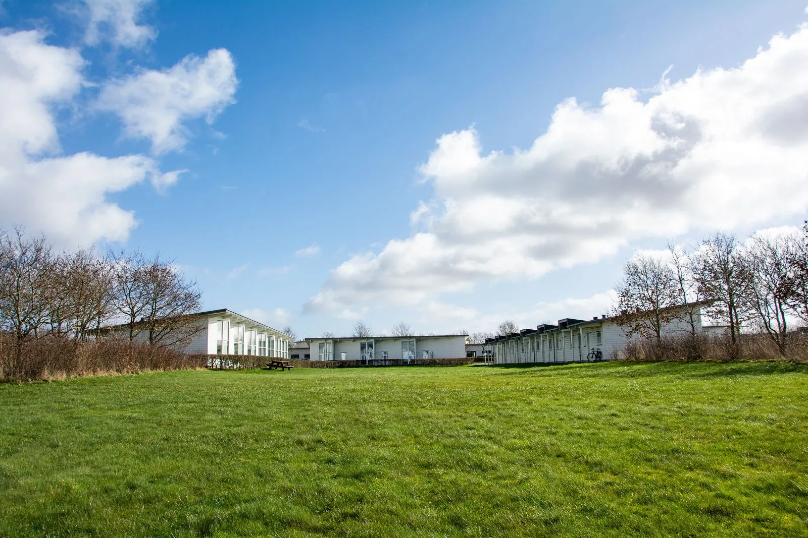 Grønne områder med blå himmel i Egelunden, Herning