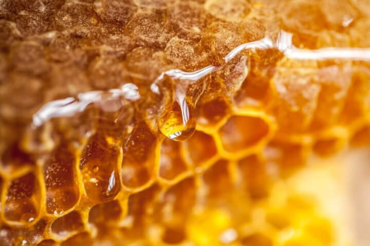 Honey dripping from comb