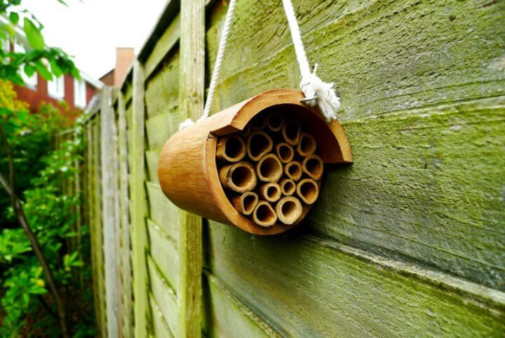 Bee hotel hanging next to a fence