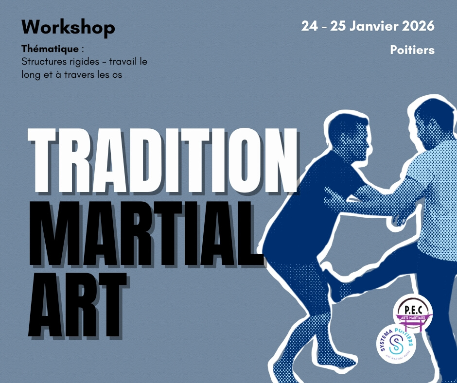 pratiquants de systema à Poitiers