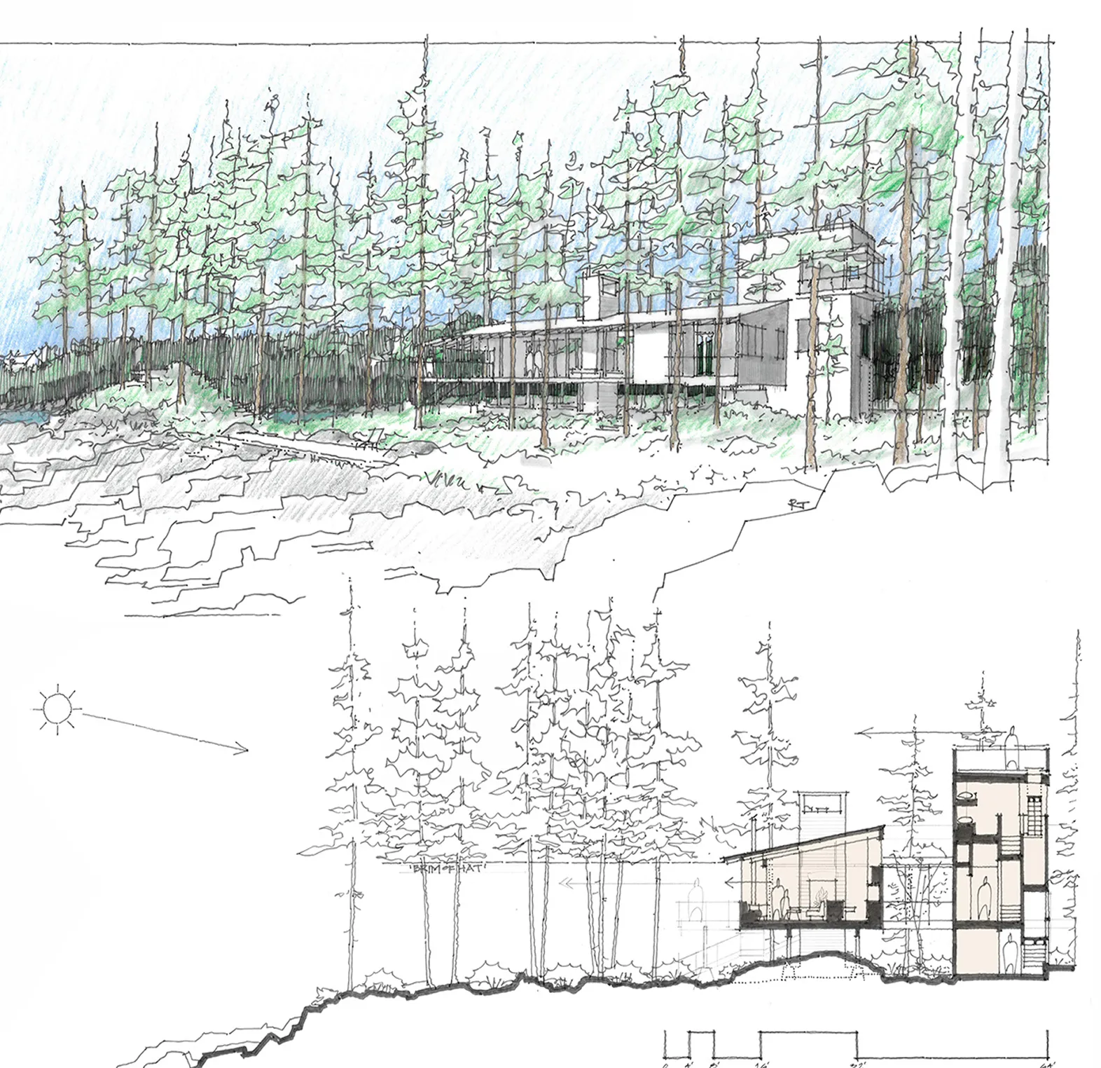 Architectural sketch of a modern house in a forest with pine trees and a cross-sectional layout.