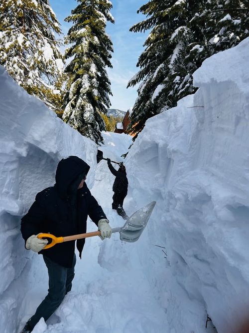 shovel into snowbank