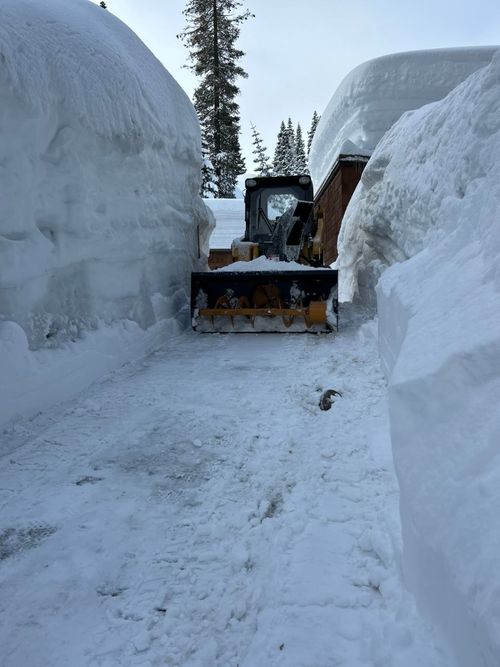 heavy machinery to remove snow