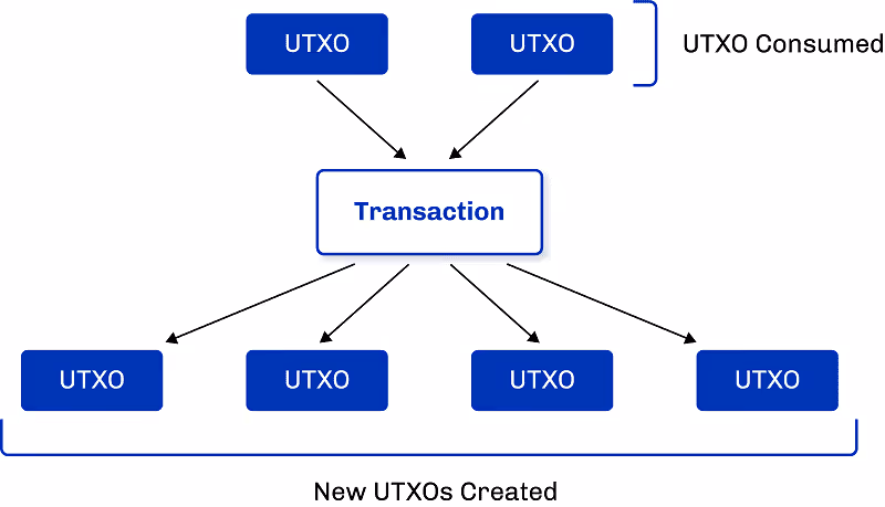 UTXO relationship diagram
