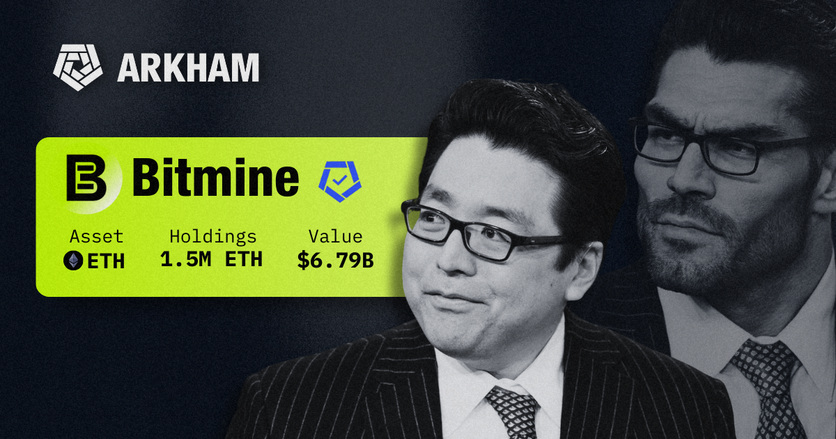 Who is Tom Lee?