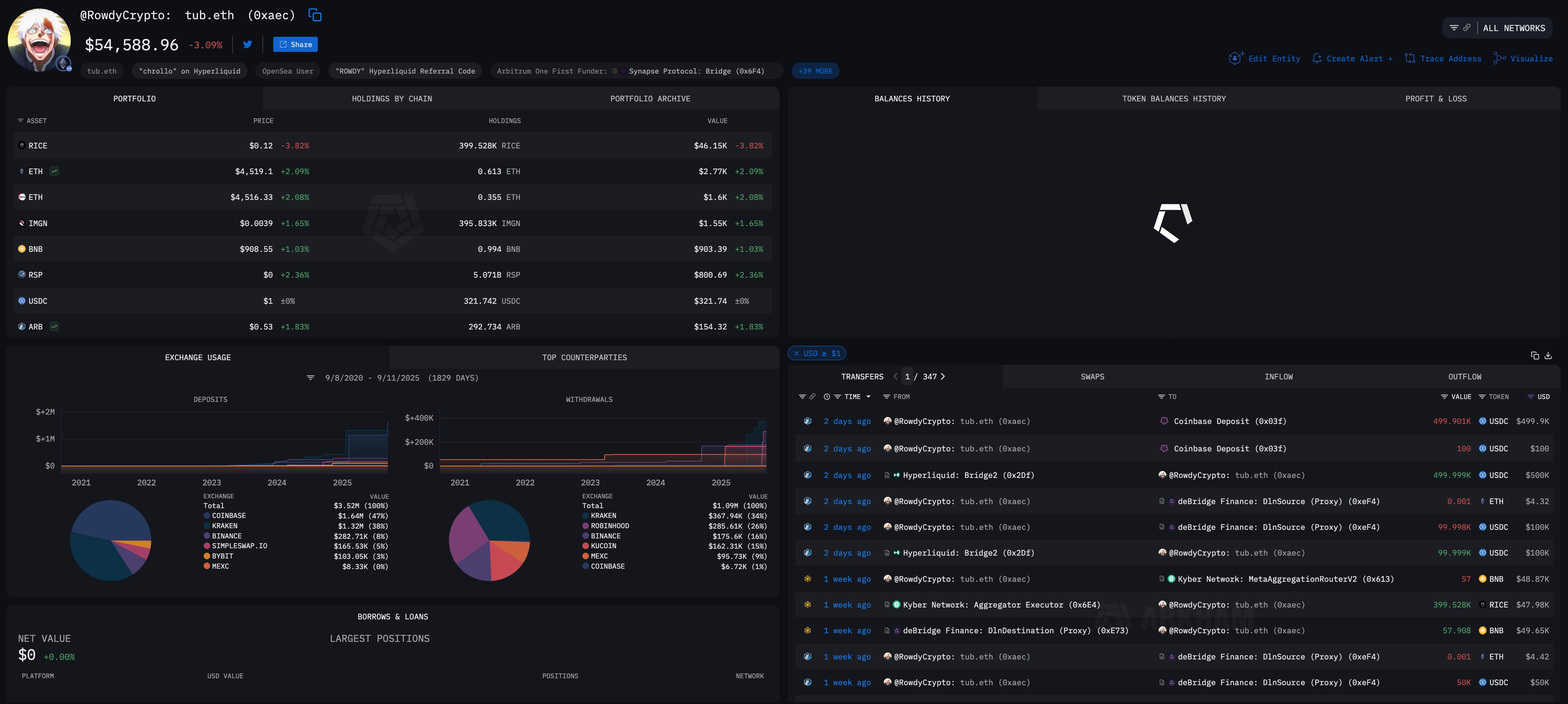 Rowdy Crypto entity on Arkham Intel platform