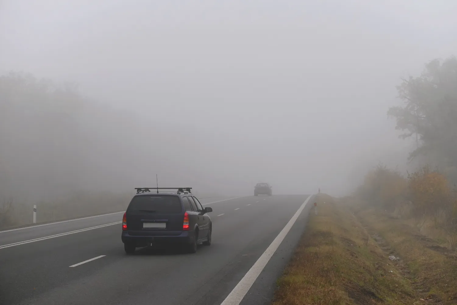 Coche negro circulando por una carretera en medio de una densa niebla, visibilidad reducida y vegetación a los lados.