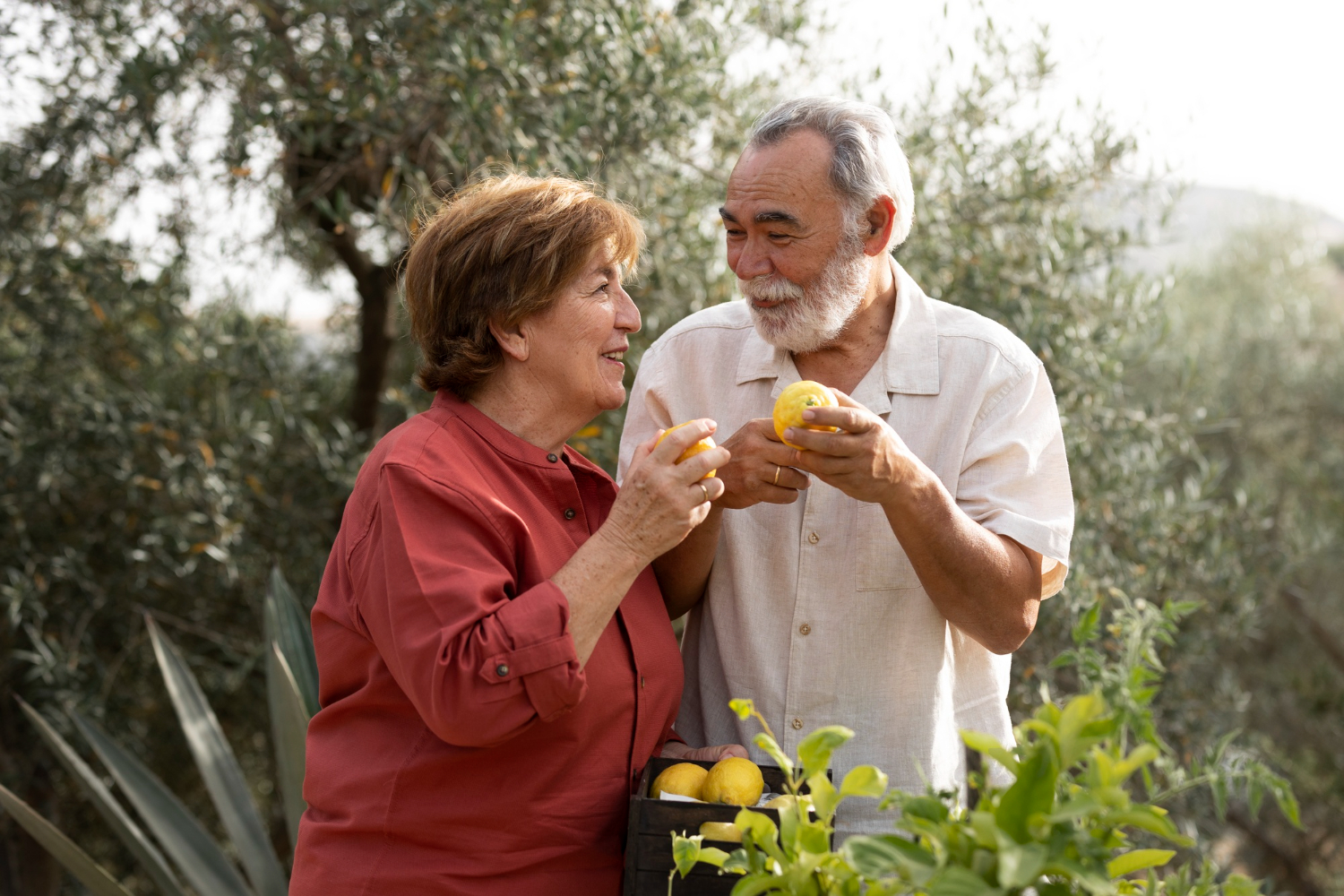 Pareja mayor sonriente en un huerto, sosteniendo limones y disfrutando de un momento juntos. Fondo de árboles y vegetación.