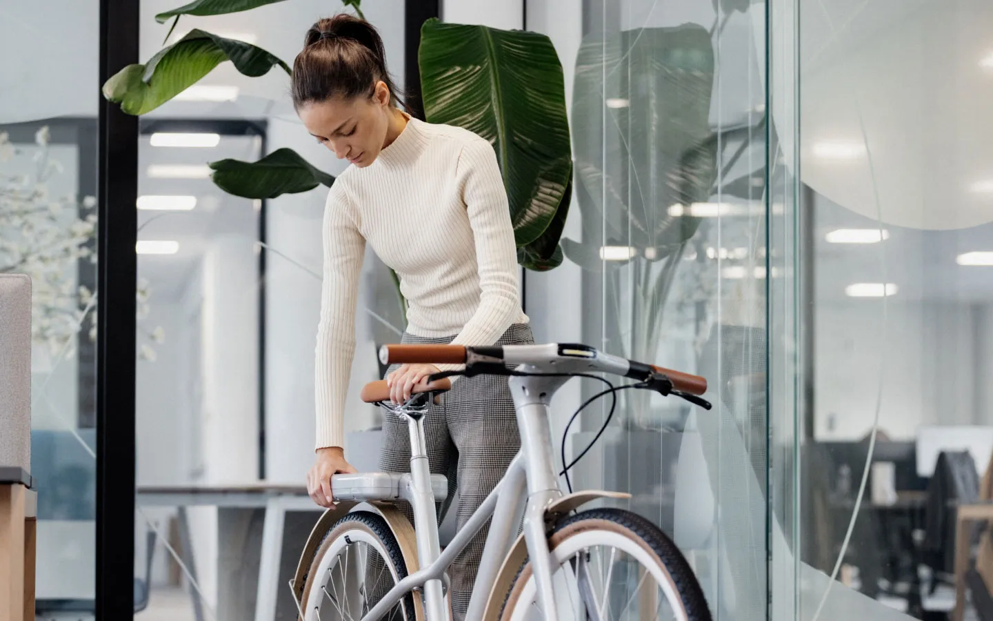 Picture used for Angell bike