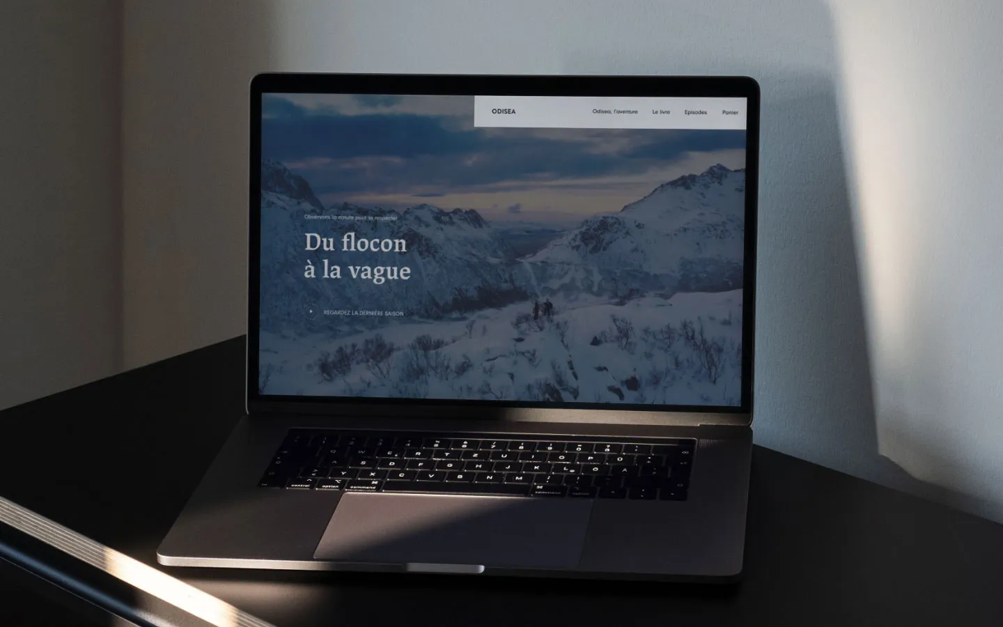 Odisea website