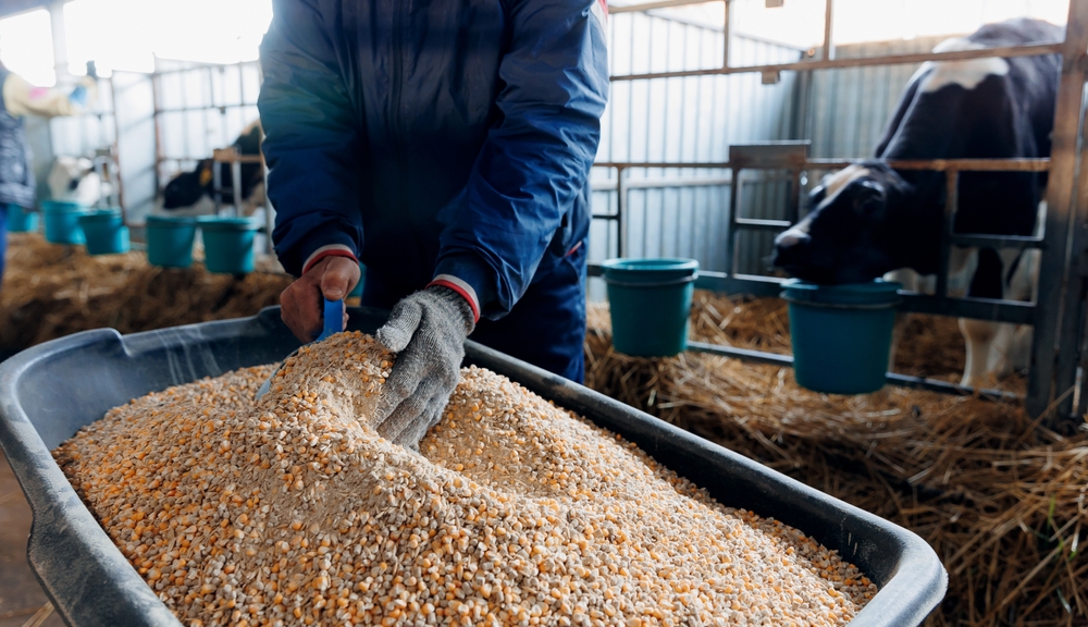 Argenta - animal food manufacturer