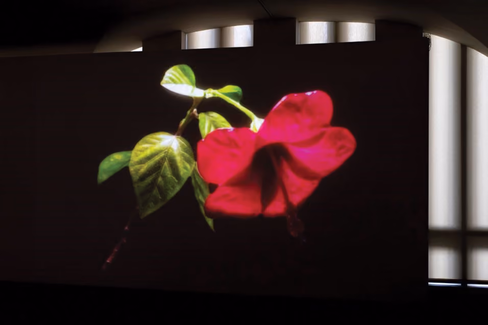 Fall 2022 Fall Exhibitions open at University Art Museum