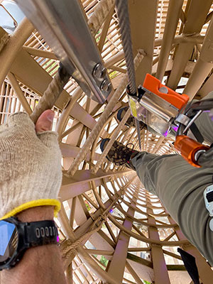 View looking down the ladder from the top of the cage.