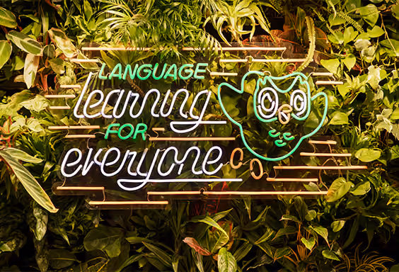 A neon sign with the words "language learning for everyone" and the Duo mascot.