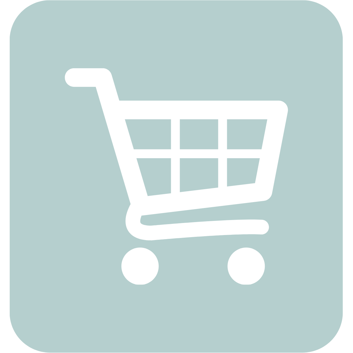 E-Commerce & Shopsysteme