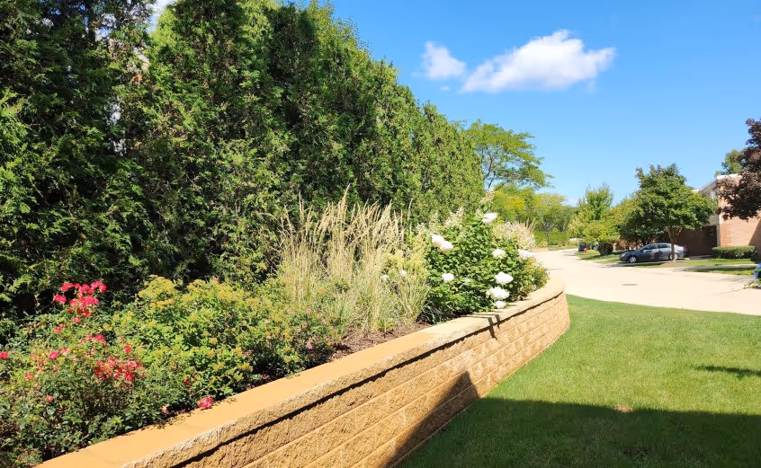 A long shot of a gardenDescription automatically generated