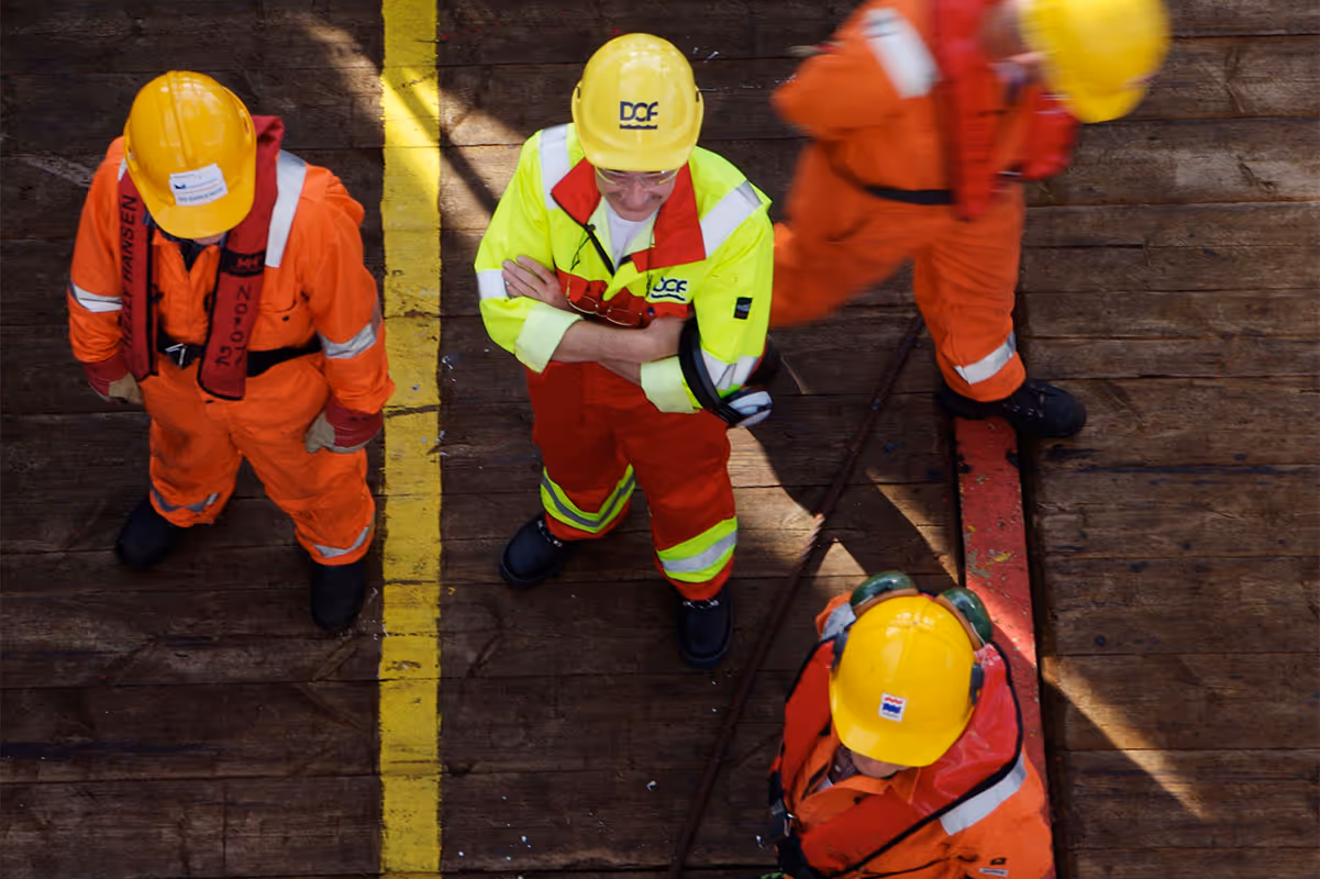 The DOF team at work | Highly skilled workers in their field