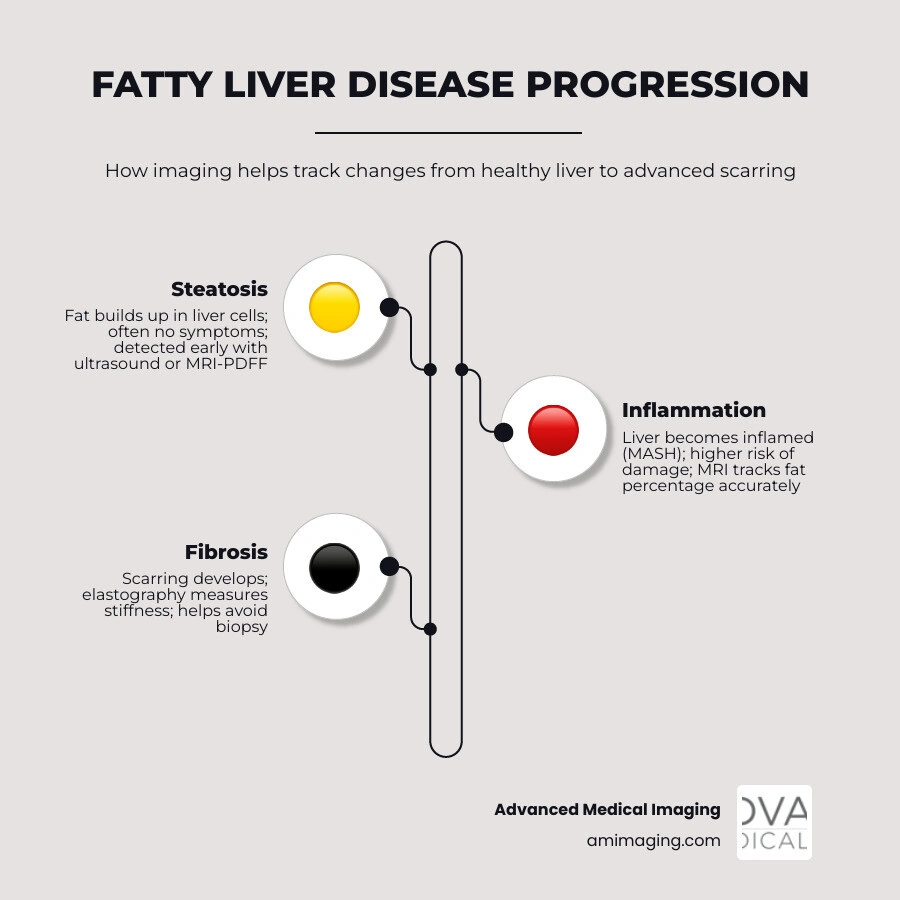 Infographic showing fatty liver disease stages from healthy liver to steatosis fibrosis and cirrhosis with imaging modality Infographic showing fatty liver disease stages from healthy liver to steatosis fibrosis and cirrhosis with imaging modality