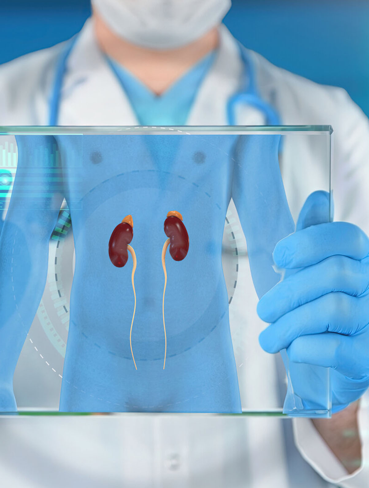 A physician holding a transparent display showing an illustration of the kidneys.