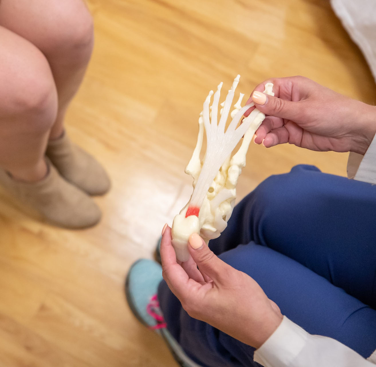 A clinician holding an anatomical model of the bones of the foot.