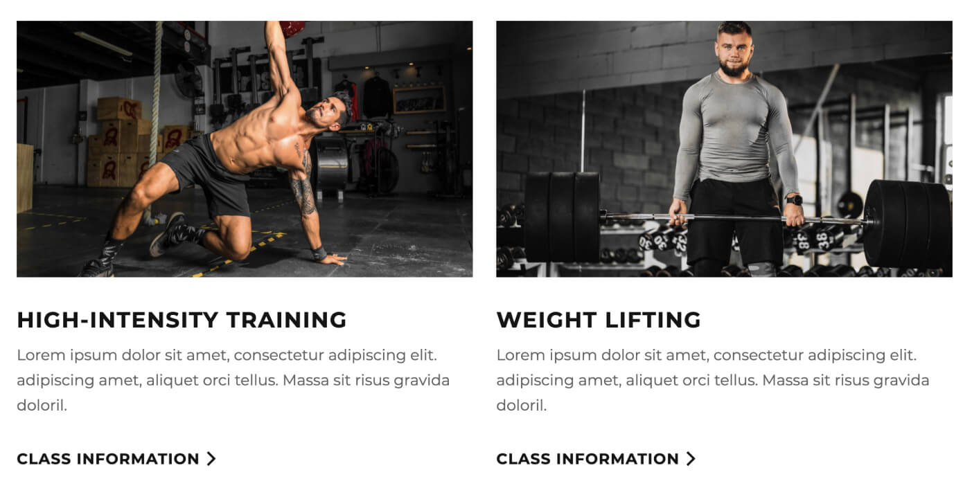 Icons And Graphics- Gymfit X Webflow Template