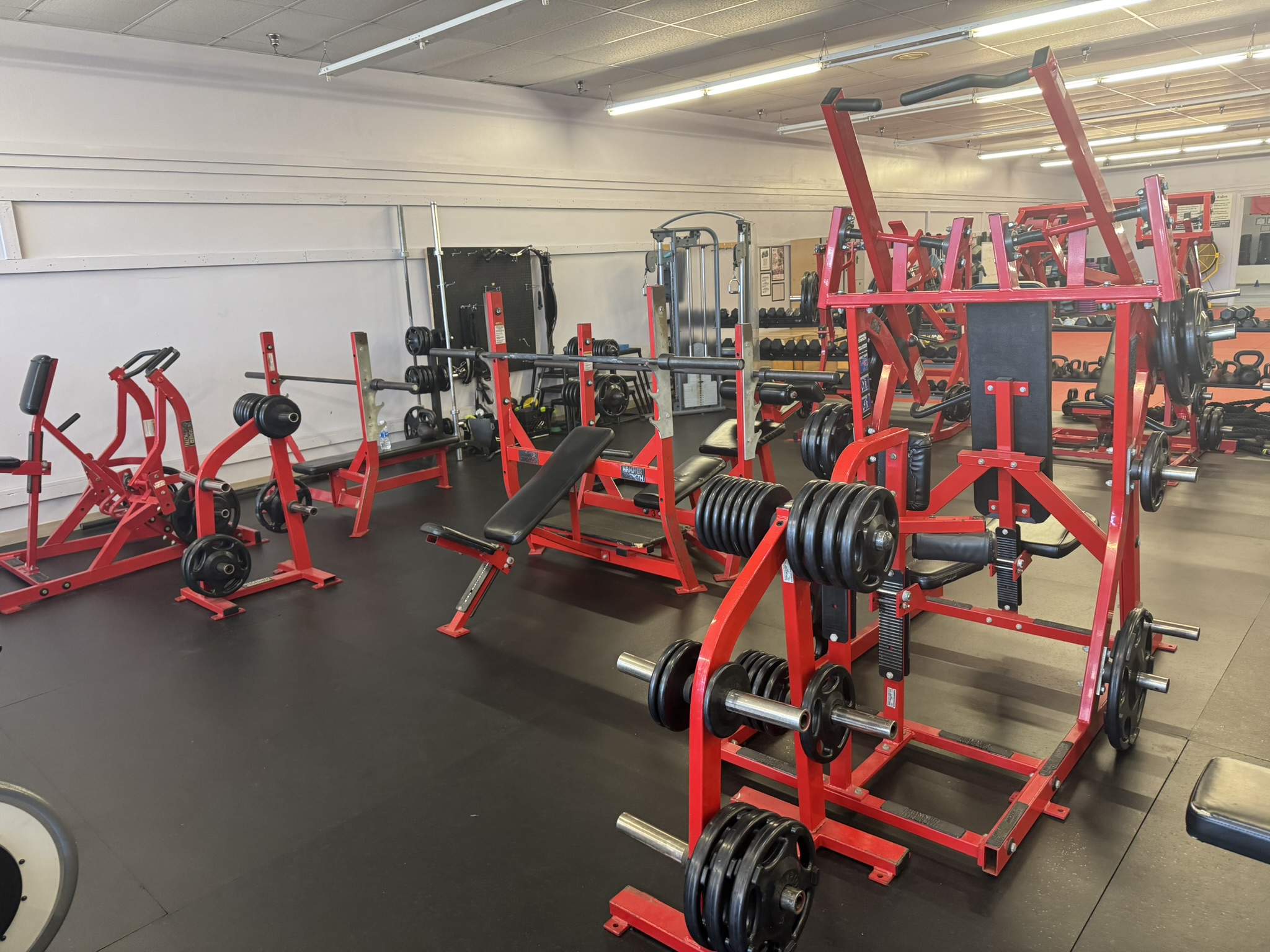 Strength equipment at Edge Fitness