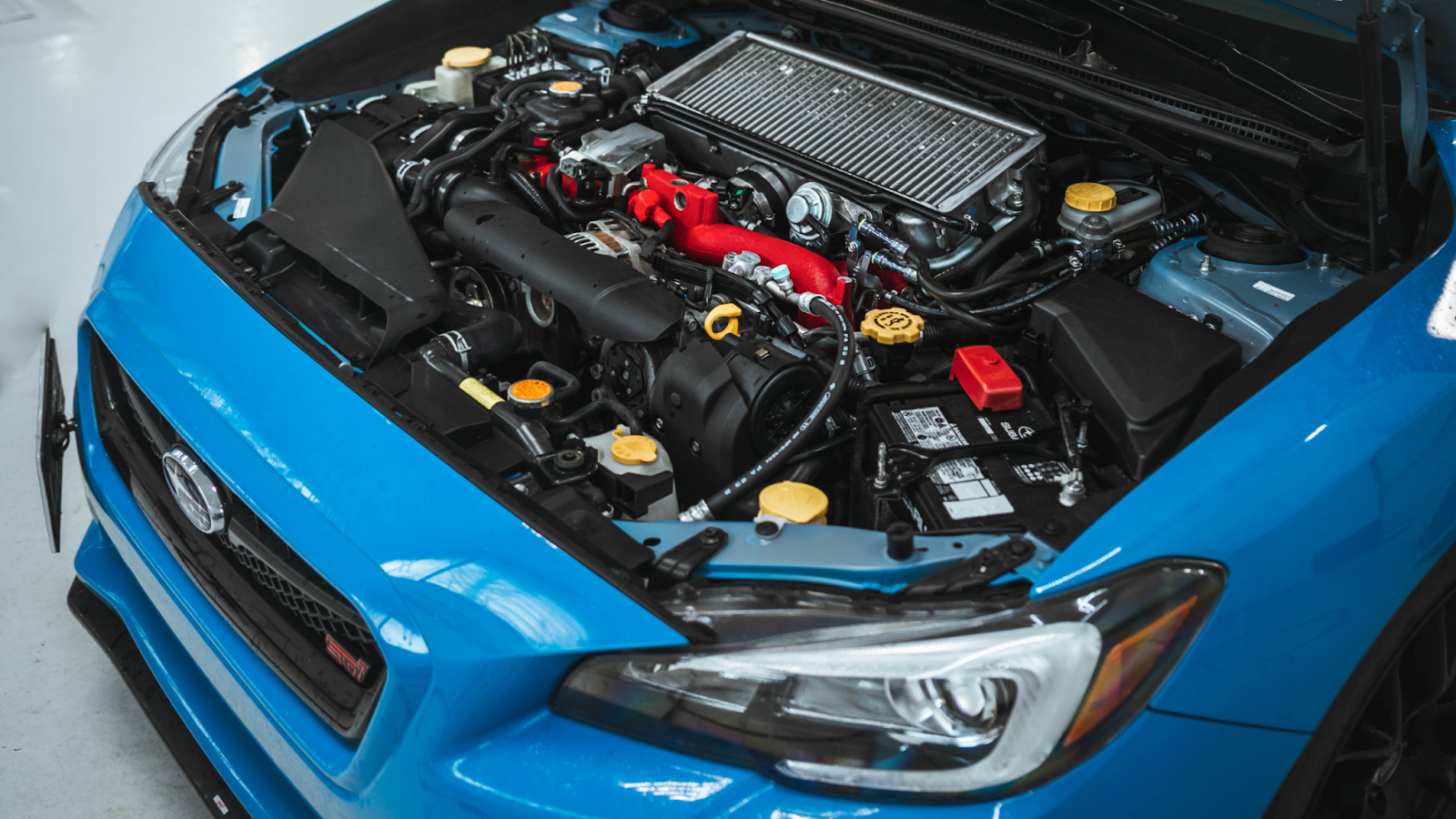 Clean engine bay after professional engine detailing, showing polished components and restored finish following engine cleaning service.