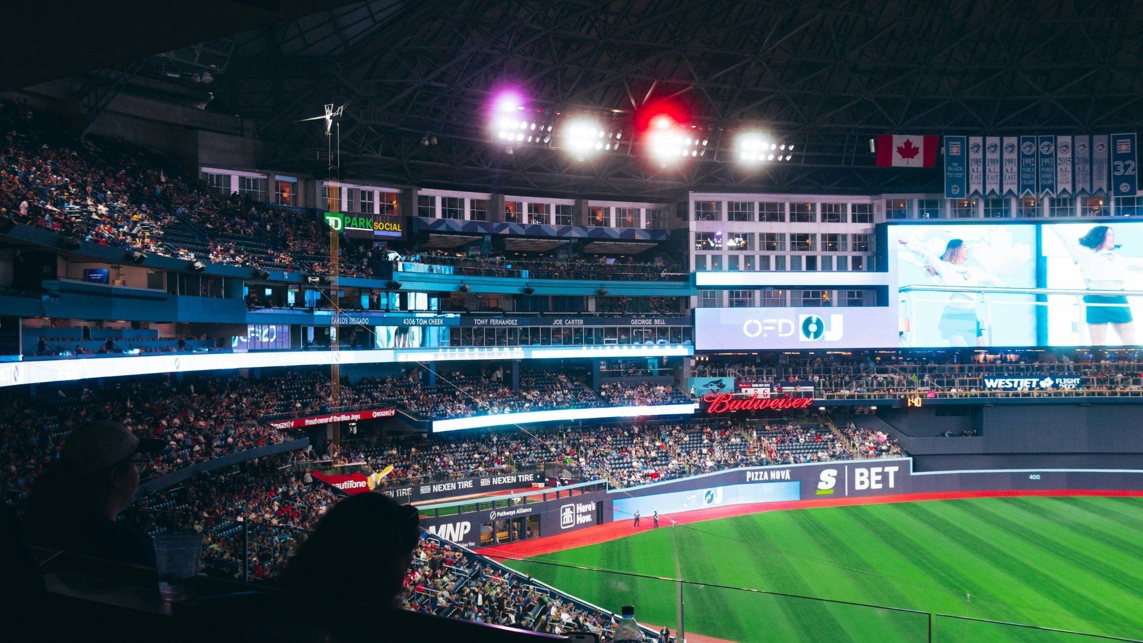 Baseball game at Rogers Centre in downtown Toronto near the ALPHASHINE car detailing location