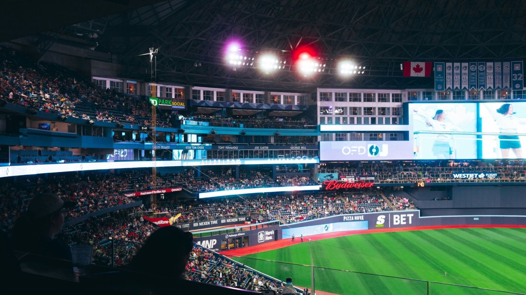 Baseball game at Rogers Centre in downtown Toronto near the ALPHASHINE car detailing location