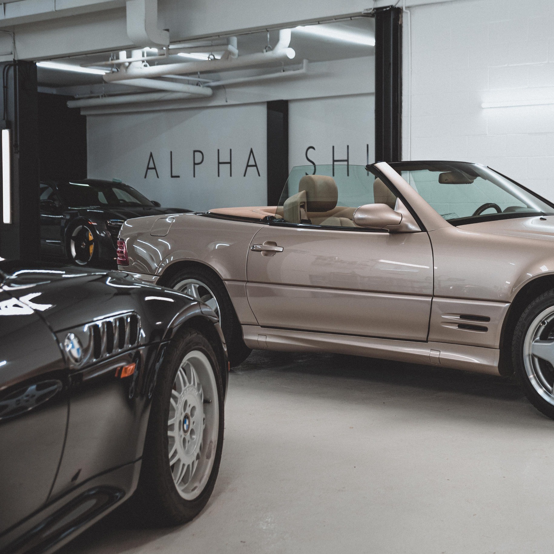3 cars polished by Alphashine