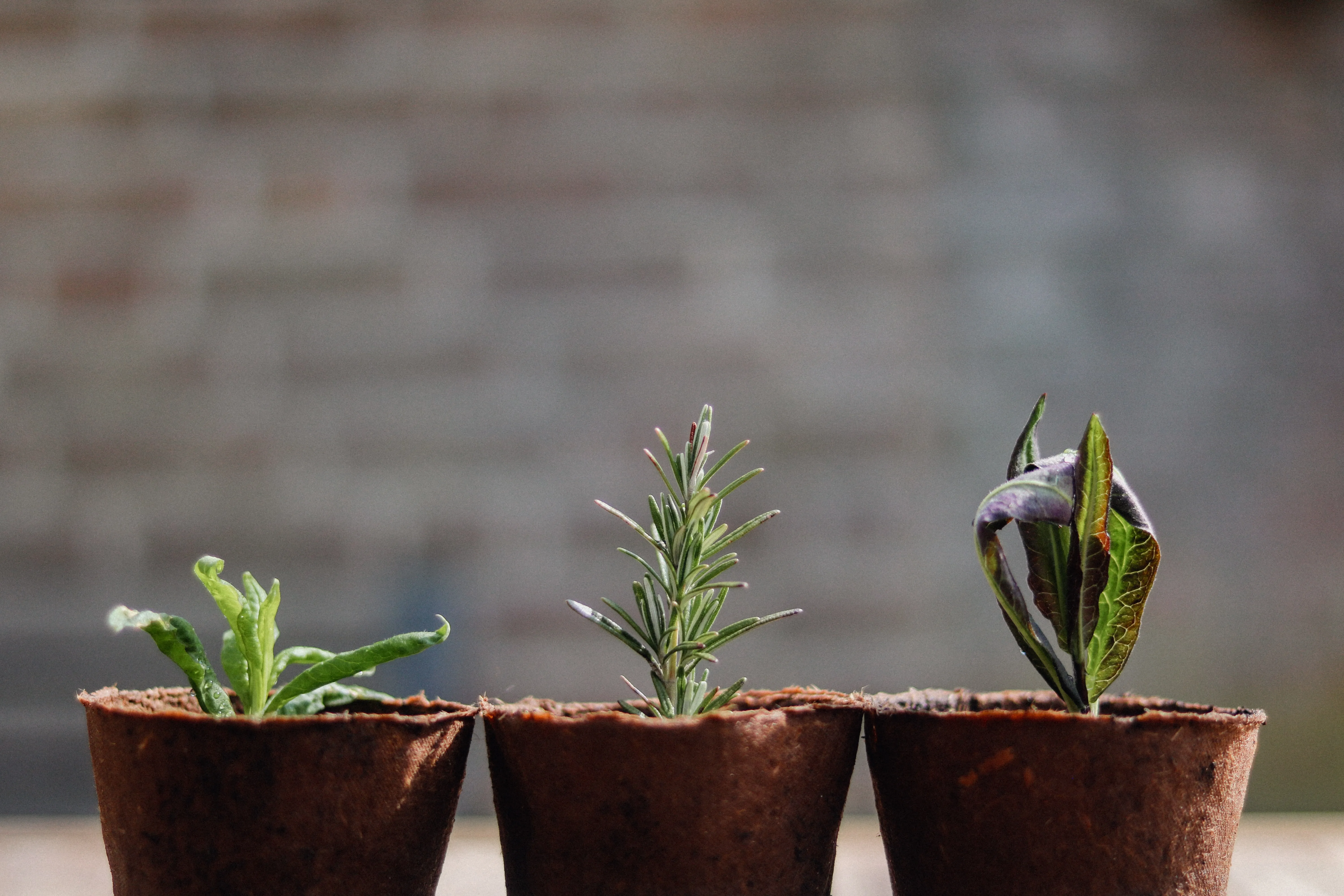 Discover how custom data segmentation enhances your analytics by allowing personalized data grouping for more precise insights.