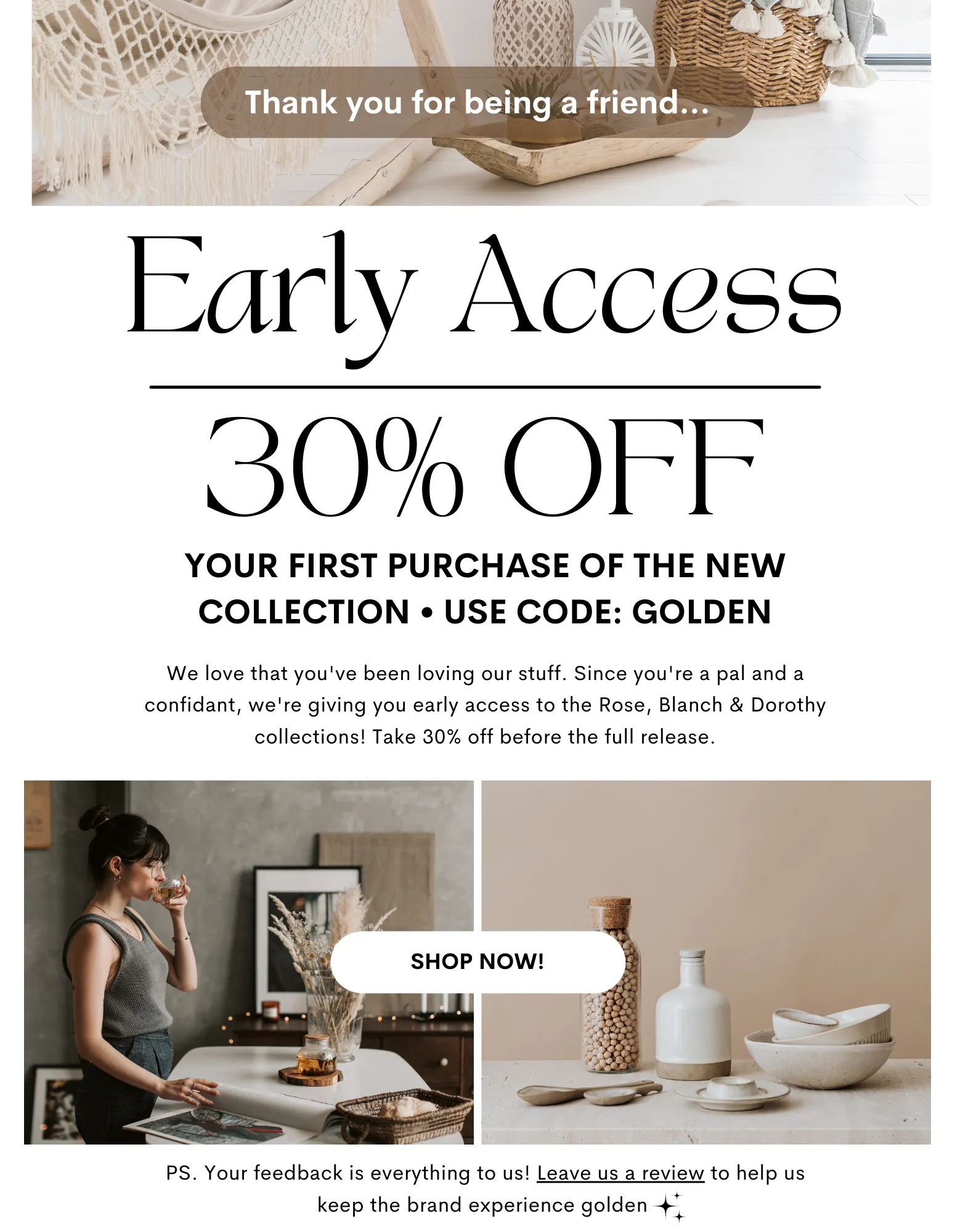Example email to brand champions offering them a discount and early access to new products