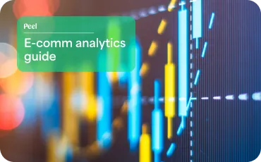 Access our comprehensive ecommerce analytics guide to learn about essential tools and strategies for your online store.