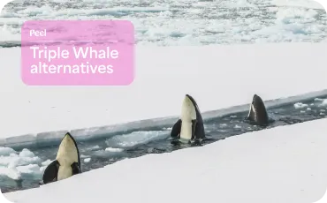 Discover the top Triple Whale alternatives to enhance your ecommerce analytics capabilities.