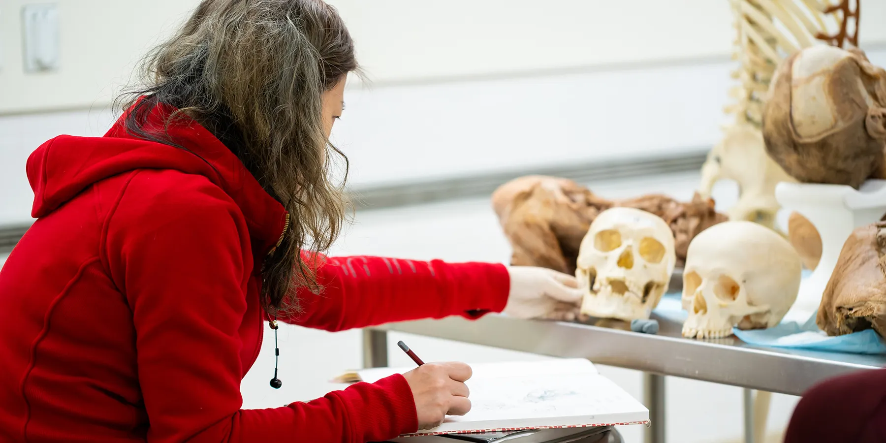 a woman writing on a piece of paper in front of a group of skulls