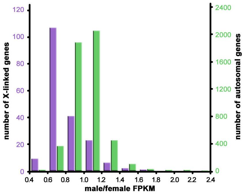 Histogram of the ratio of male to female measures of expression.