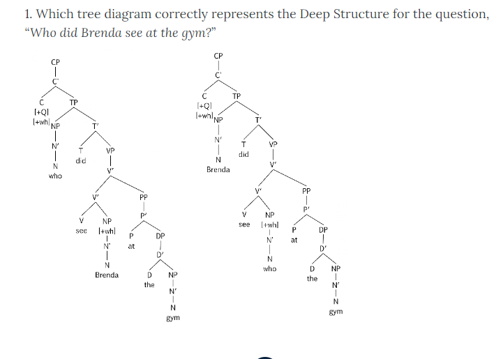 Tree diagram example