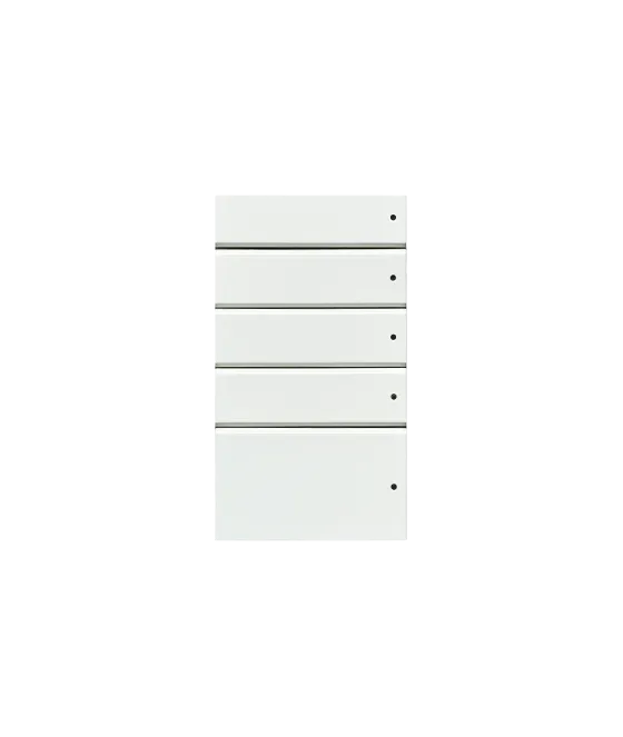 Control4 Contemporary White buttoncolor