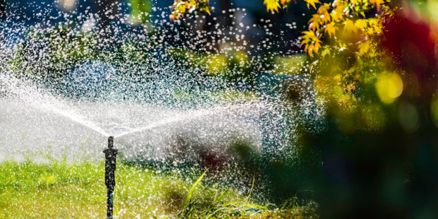 Automatic lawn sprinkler spraying water across a landscaped yard with green grass and sunlit trees in the background.