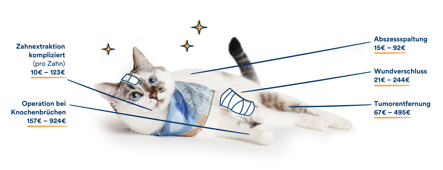 Eine Katze liegt auf dem Boden. Grafische Hinweise zeigen beispielhafte Kosten für tierärztliche Operationen: Zahnextraktion, kompliziert, pro Zahn 10 bis 123 Euro; Operation bei Knochenbrüchen 157 bis 924 Euro; Abszessspaltung 15 bis 92 Euro; Wundverschluss 21 bis 244 Euro; Tumorentfernung 67 bis 495 Euro.