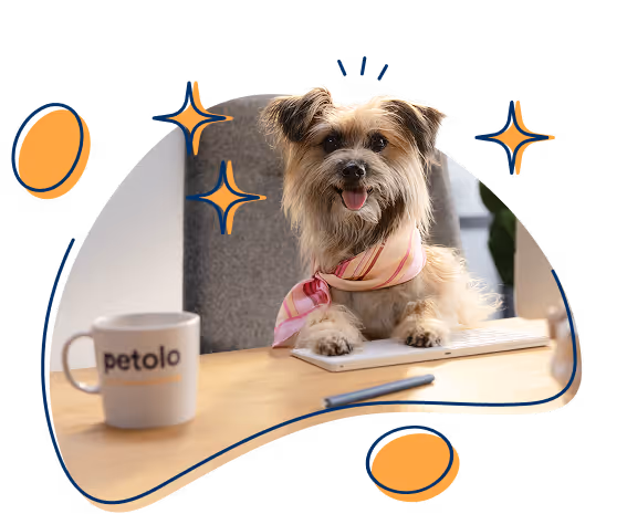 Hund sitzt am Tisch mit Kaffeetasse wie eine Person – petolo Tierkrankenversicherung für Hunde und Katzen
