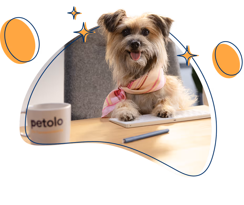 Hund sitzt am Tisch mit Kaffeetasse wie eine Person – petolo Tierkrankenversicherung für Hunde und Katzen