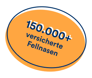 Über 150.000 versicherte Hunde und Katzen bei petolo