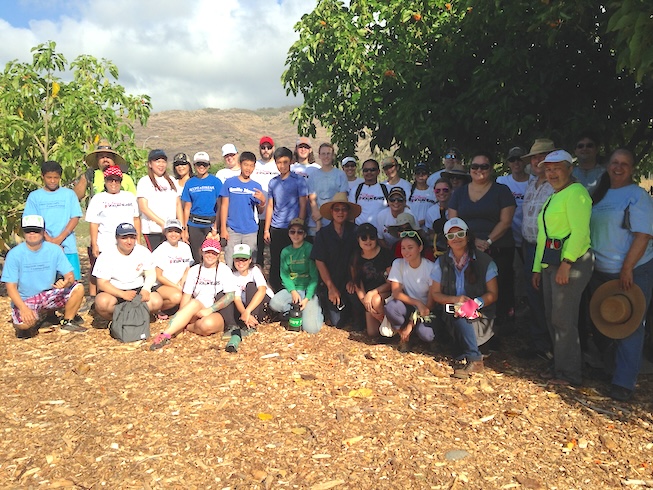 2015 Workdays