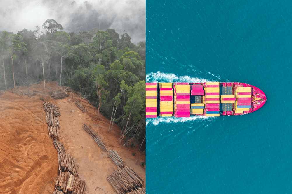 L'amnésie environnementale
