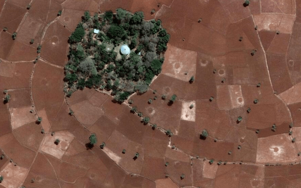 Vue aérienne d'une forêt d'église en Éthiopie, îlot boisé préservé au milieu des champs cultivés