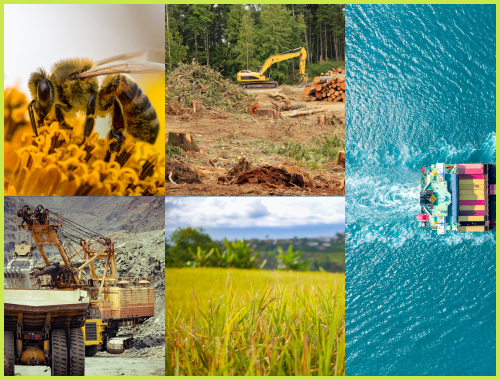 Norme ISO biodiversité