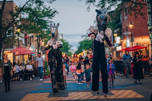 Jacques et Zèbrelle, deux marionnettes habitées sur échasses, déambulent dans la rue à Montréal, suivi d'enfants et de familles