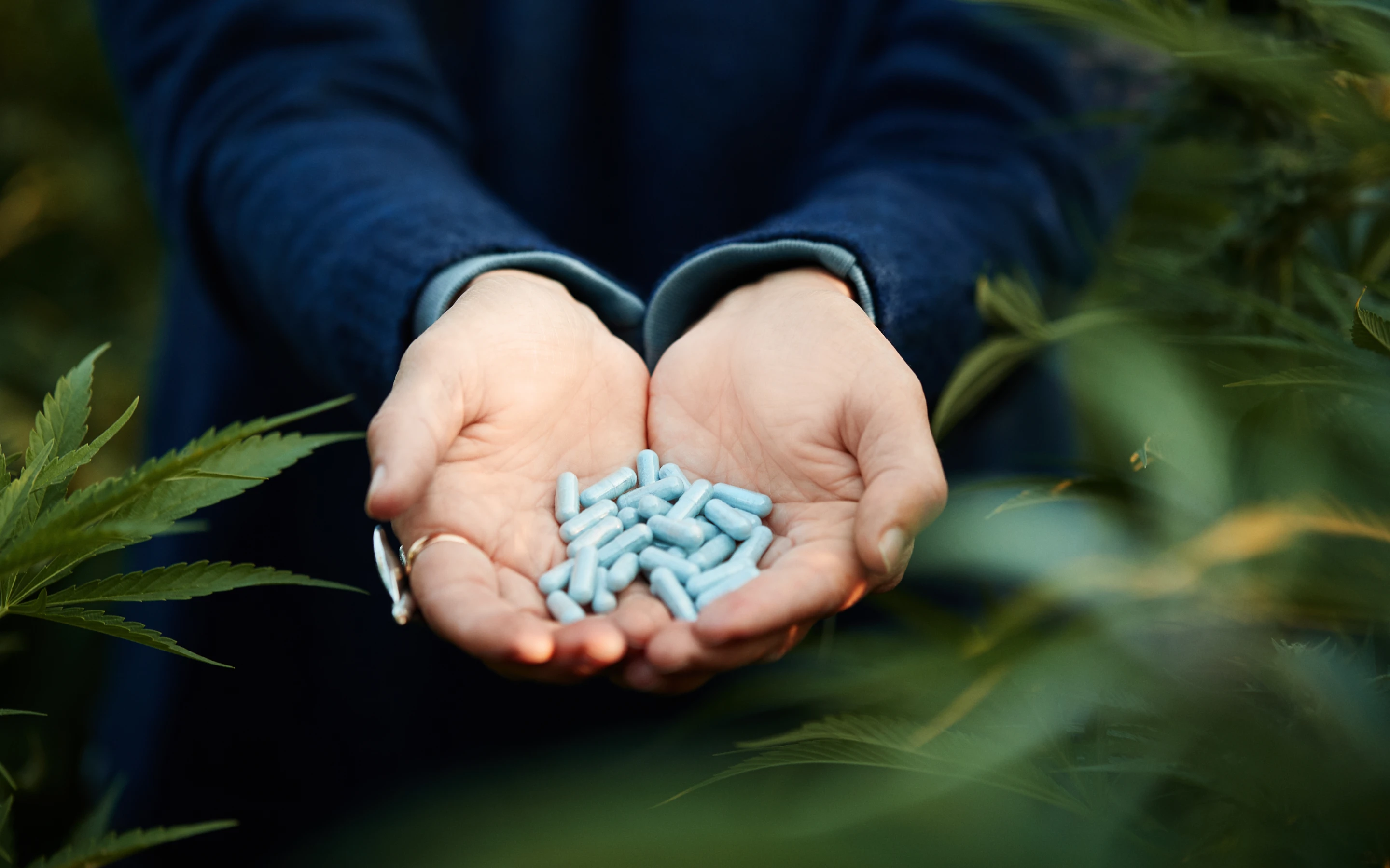 WELLFOUND BOTANICALS